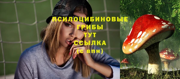 твердый Алзамай