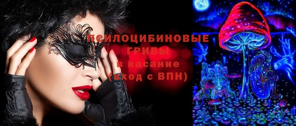 твердый Алзамай
