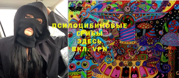 спиды Алексеевка